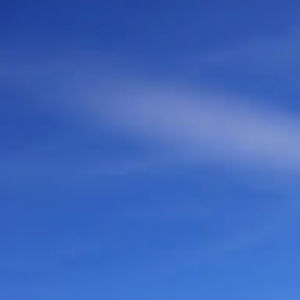 Meet your Posher, Ben